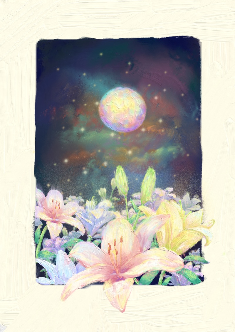 花与星球系列—2