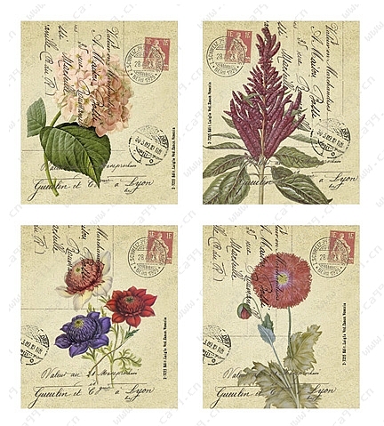 花卉花纸图案