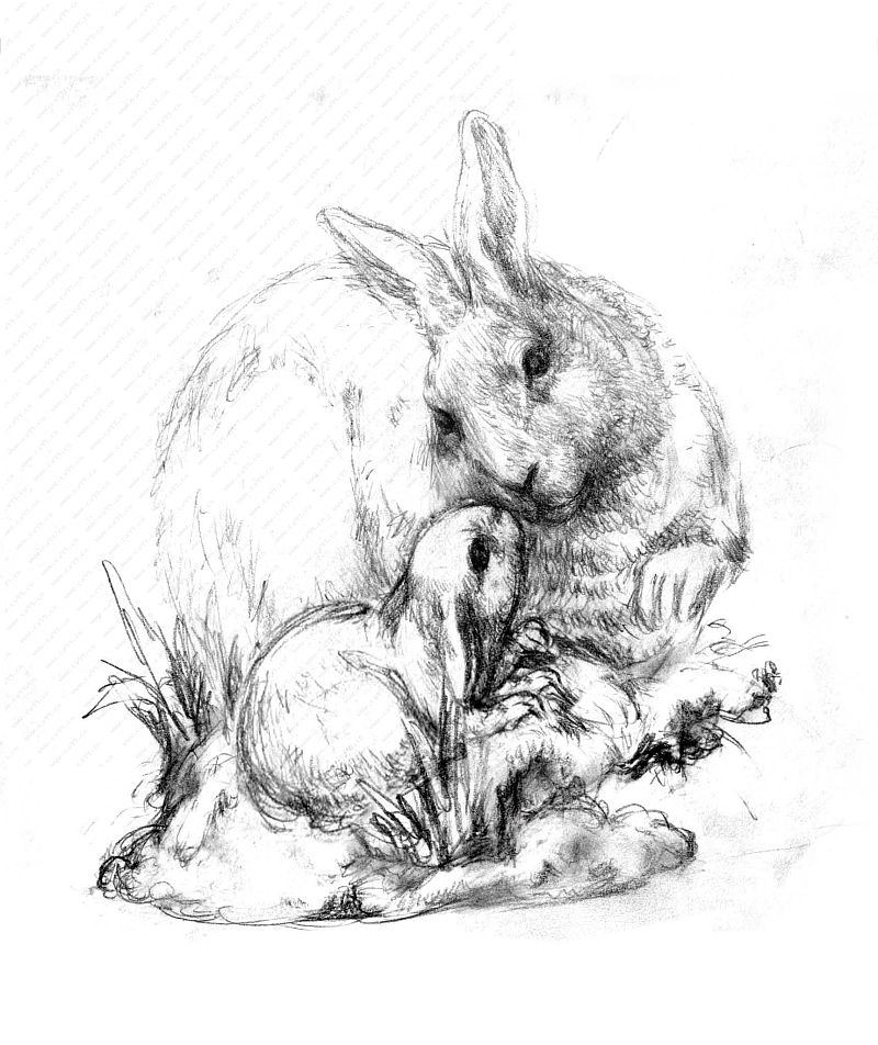 树脂动物兔子