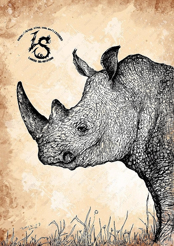 手绘动物犀牛插画