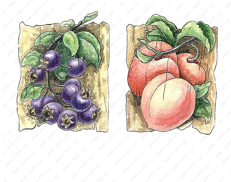 蔬果系列之手绘陶瓷 树脂摆件六