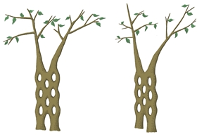 树型设计绿化美化木新型农业 观赏性