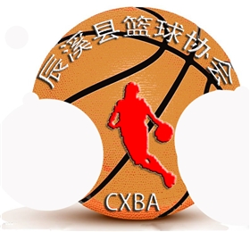 辰溪县篮球协会logo设计