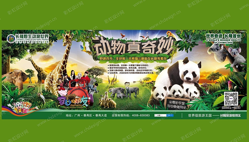 长隆野生动物园宣传网页海报