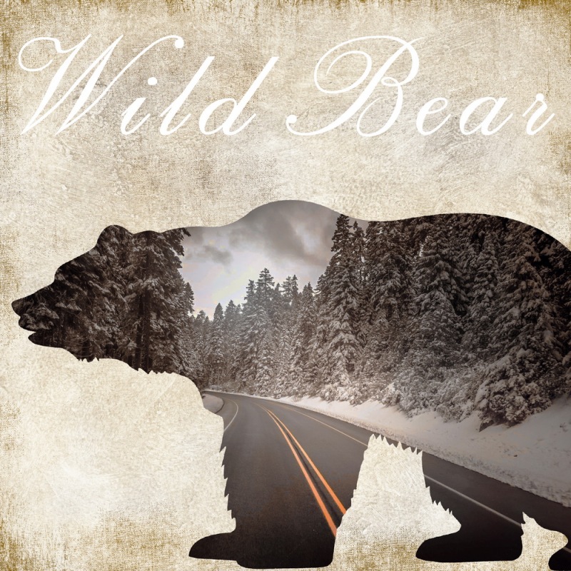 北欧熊动物风景图案