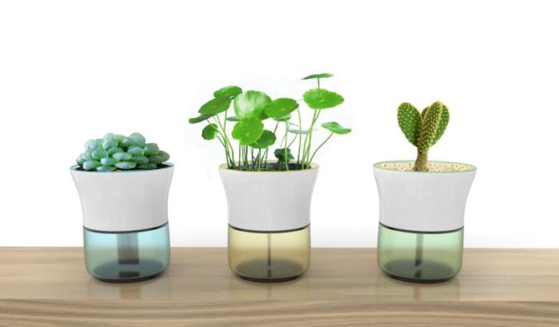 陶瓷玻璃组合植物花盆