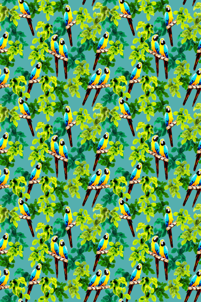 热带雨林花鸟图案b