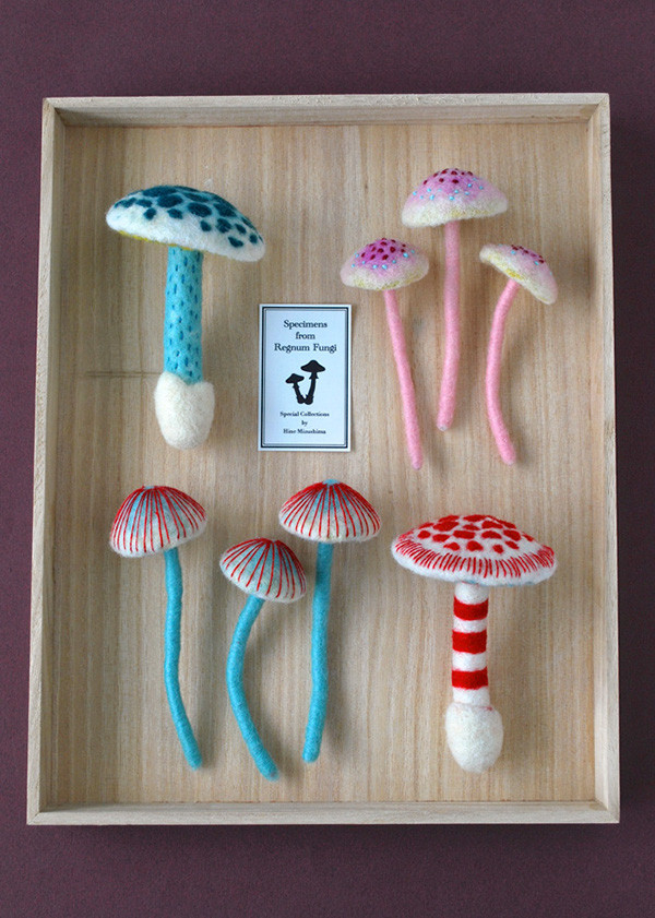 多彩蘑菇
