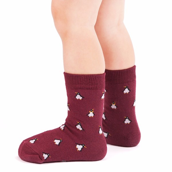 socks appeal韩式婴童棉袜——企鹅