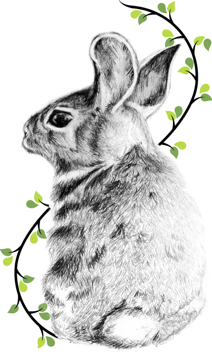 马克杯复活节兔子图案