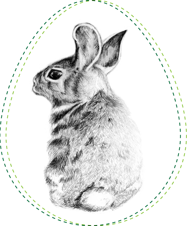 马克杯复活节兔子图案