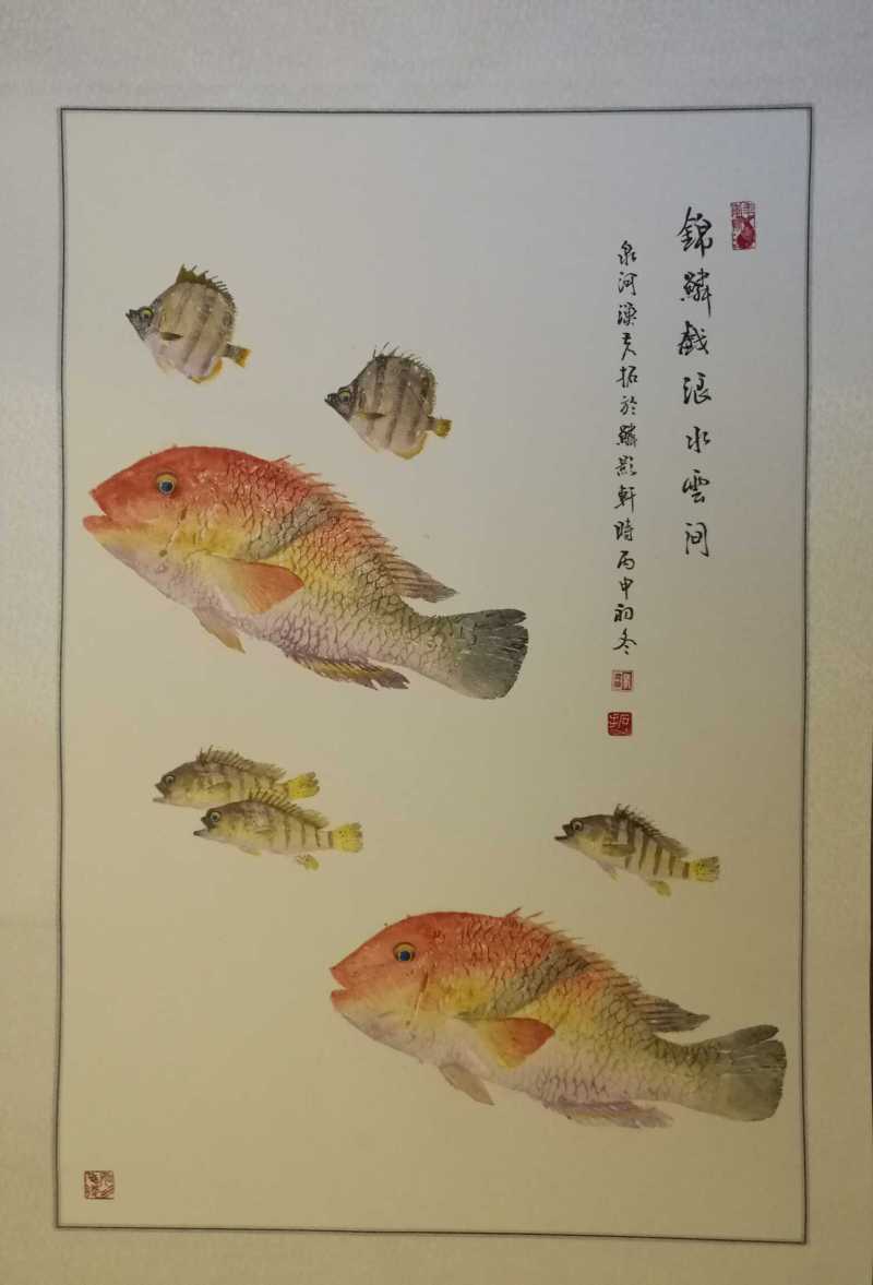 锦鳞戏浪水云间