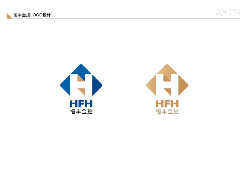 金融公司logo设计vi设计