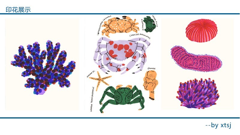 2019春夏印花趋势——海洋生物