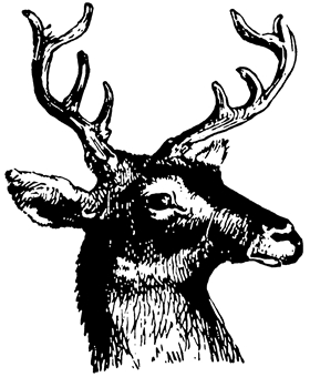 圣诞麋鹿头黑白线条图案